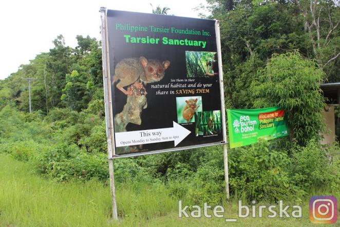 Заповедник тарсиеров, Бохол, Филиппины