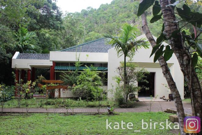 Заповедник тарсиеров, Бохол, Филиппины