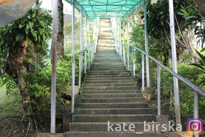 Шоколадные холмы, Бохол, Филиппины